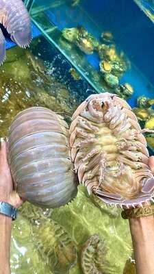 Nhà Hàng 4u Biển