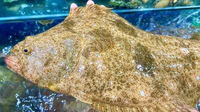 Nhà Hàng 4u Biển