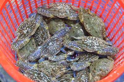 Nhà Hàng 4u Biển