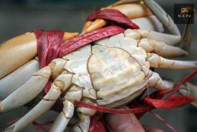 Ôc Ken Đà Nẵng 2