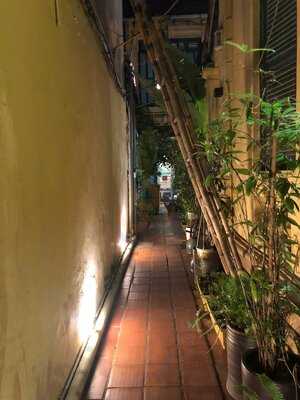 Sente - The Flavour Of Lotus