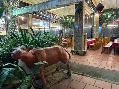 Bo To Tay Ninh Tai Sanh