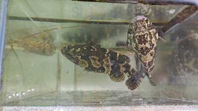 Nhà Hàng Vịnh Hải Sản