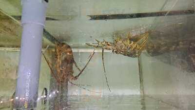 Nhà Hàng Vịnh Hải Sản