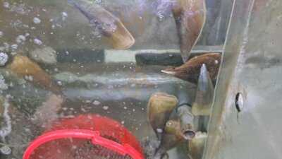 Nhà Hàng Vịnh Hải Sản