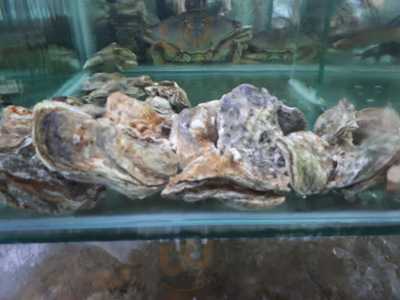 Nhà Hàng Container