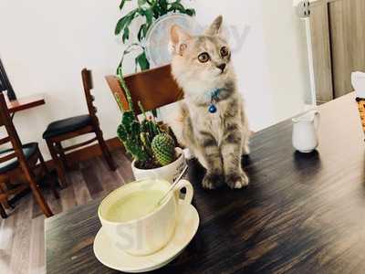 Floriane Cafe And Stay