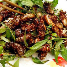 Món Ăn Xuôi Ngược