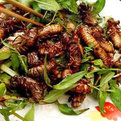 Món Ăn Xuôi Ngược