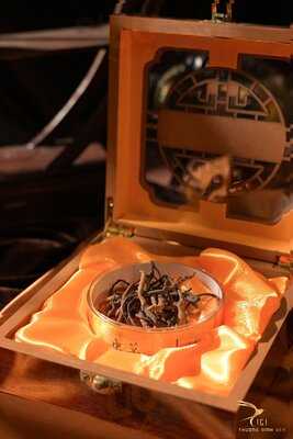 Cici - Thượng Đỉnh Yến