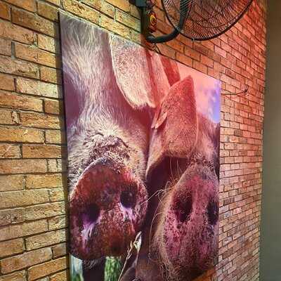 Quan Ut Ut - Vo Van Kiet