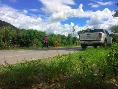 Quán Cà Phê Tractor