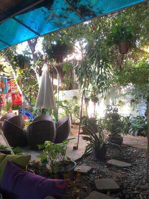 Gardenia - Eat, Play, Love