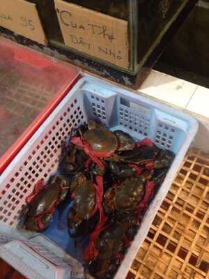 Crab - Grill And Draught Beer