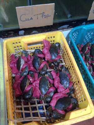 Crab - Grill And Draught Beer