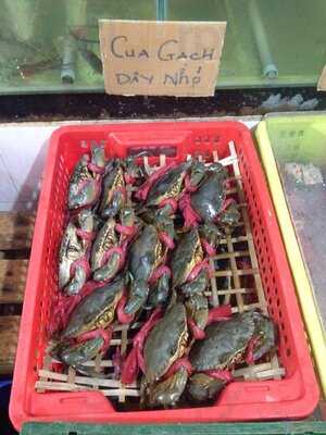 Crab - Grill And Draught Beer