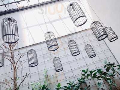 The Coffee House Signature