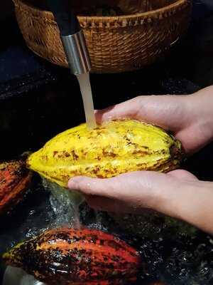 Vietnam Chocolate House