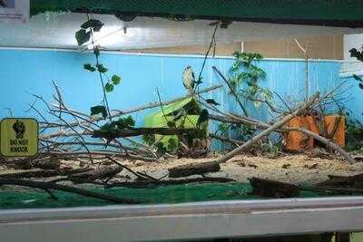 Berry Very Kids & Fun