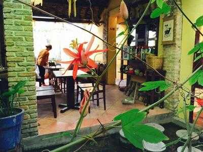 The Homes - Coffee And Folk Drinks