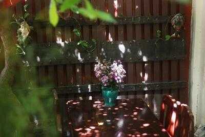 The Homes - Coffee And Folk Drinks