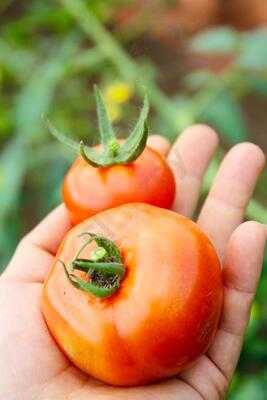 Pizza For Good - P4g