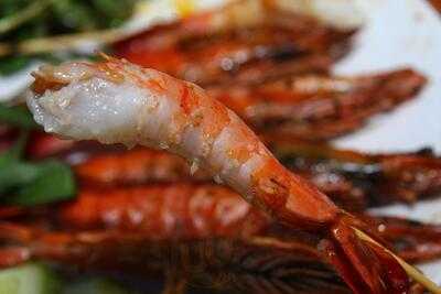 Tom Yum Yum Restaurant