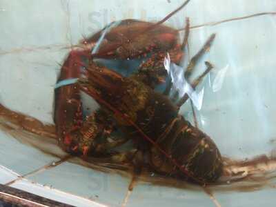 Nhà Hàng Kim Mã 2