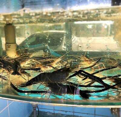 Nhà Hàng Kim Mã 2