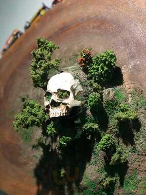 Ông Chú Cuối Hẻm