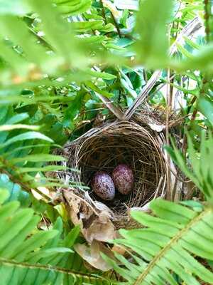 Spice Garden In Cu Chi