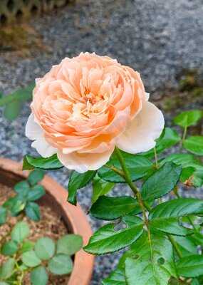 Spice Garden In Cu Chi