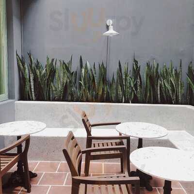 Shelter Coffee & Tea