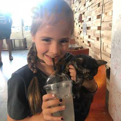 Quán Cafe Tokyo Pet Center