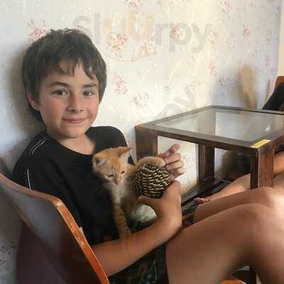 Quán Cafe Tokyo Pet Center