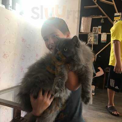 Quán Cafe Tokyo Pet Center