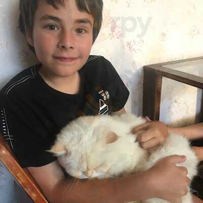 Quán Cafe Tokyo Pet Center