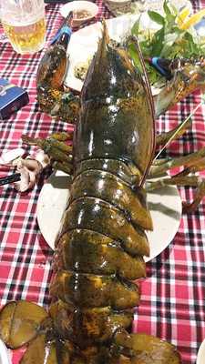 Hải Sản Hải Châu