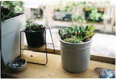 Quán Của Thời Thanh Xuân