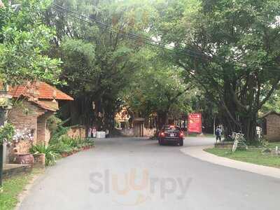 Cà Phê Đủng Đỉnh