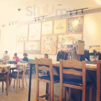 Shelter Coffee & Tea