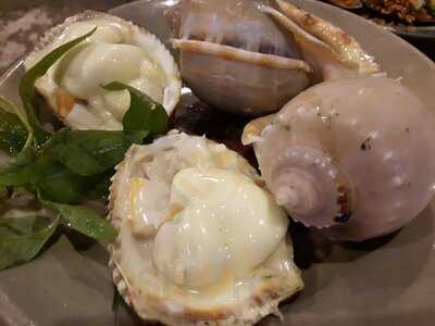 Oc Chi Em Chi Nhanh 2