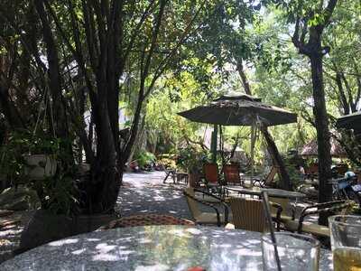 Cafe Sân Vườn Cá Koi Cà Phê Chòi Võng Coffee Home Garden C K