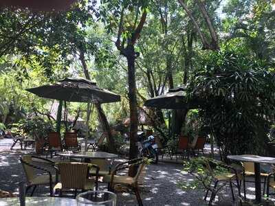 Cafe Sân Vườn Cá Koi Cà Phê Chòi Võng Coffee Home Garden C K