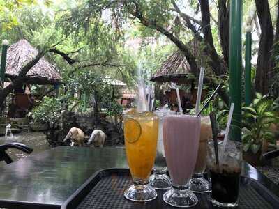 Cafe Sân Vườn Cá Koi Cà Phê Chòi Võng Coffee Home Garden C K