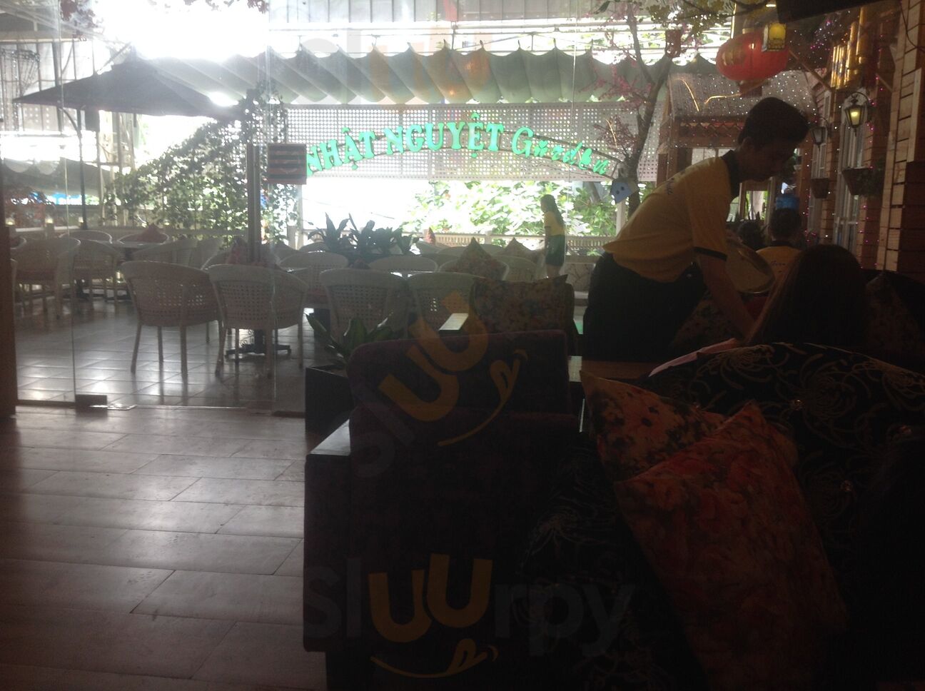 Nhật Nguyệt Dương Bá Trạc