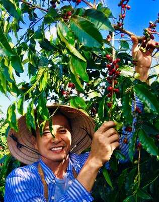 Qv Signature Iced Condensed Milk Coffee Saigon