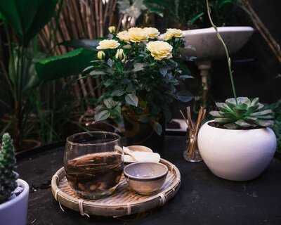 Trúc Hoa Trà Quán