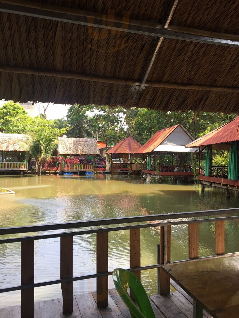 Câu Cá Giải Trí Hương Đồng