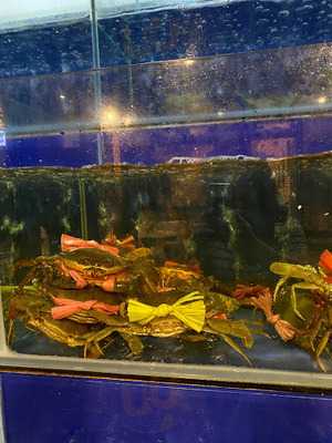 Nhung Nguoi Ban Restaurant